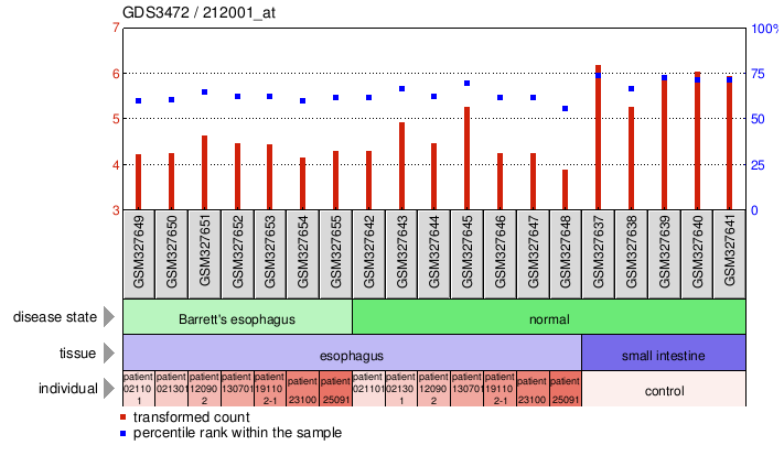 Gene Expression Profile