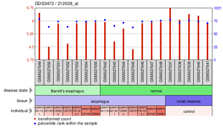 Gene Expression Profile