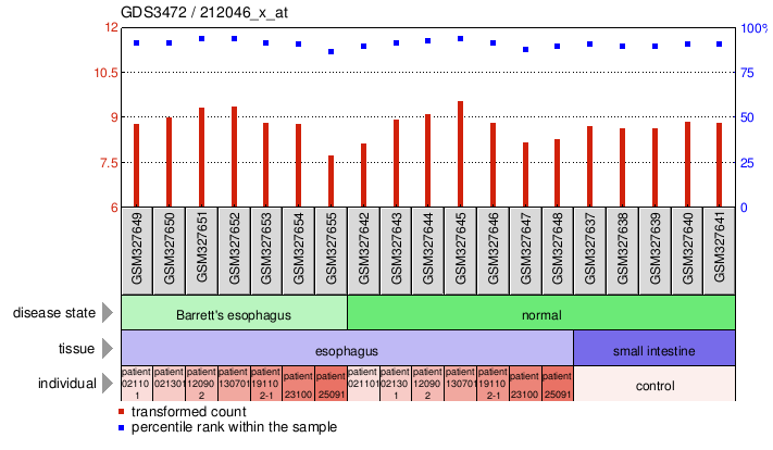 Gene Expression Profile