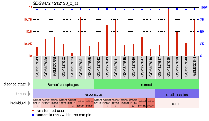 Gene Expression Profile