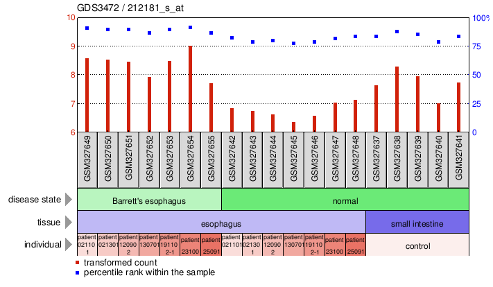 Gene Expression Profile