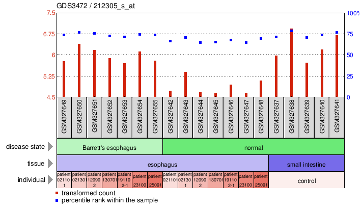 Gene Expression Profile