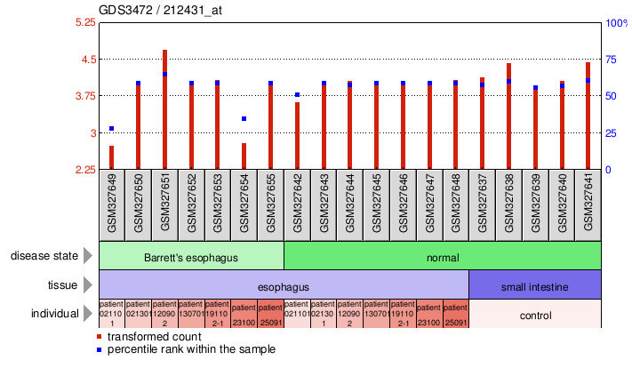 Gene Expression Profile