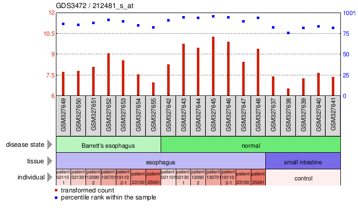 Gene Expression Profile