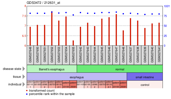 Gene Expression Profile