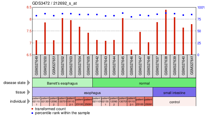 Gene Expression Profile