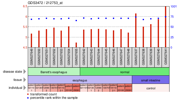 Gene Expression Profile