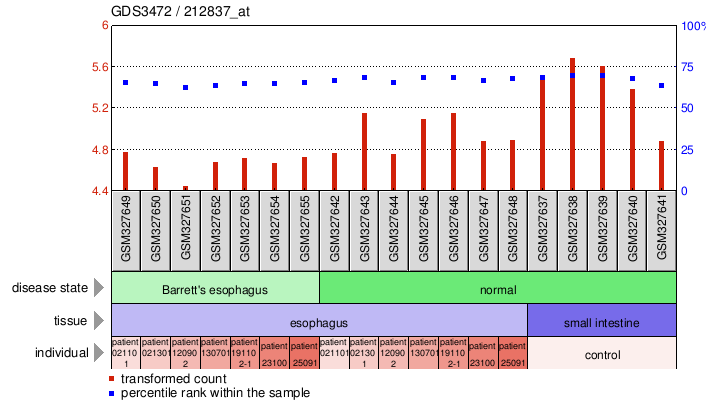 Gene Expression Profile