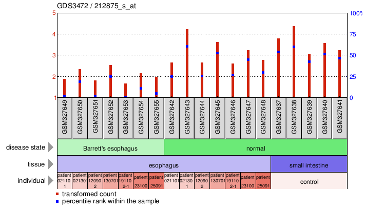 Gene Expression Profile