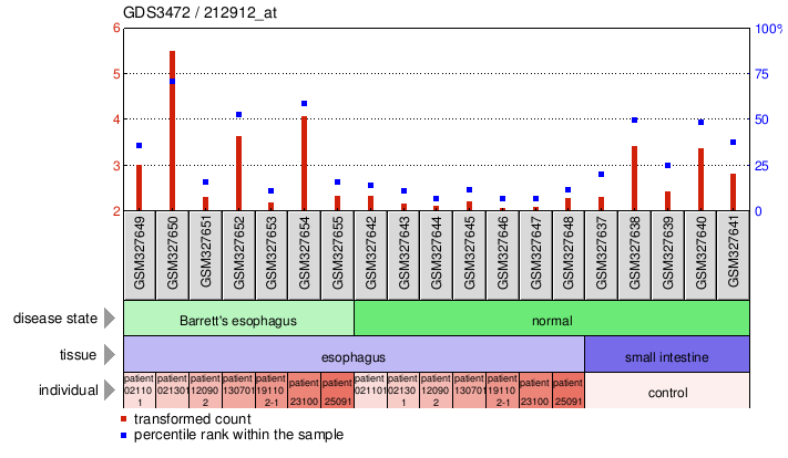 Gene Expression Profile