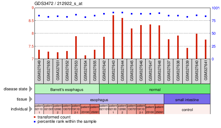 Gene Expression Profile