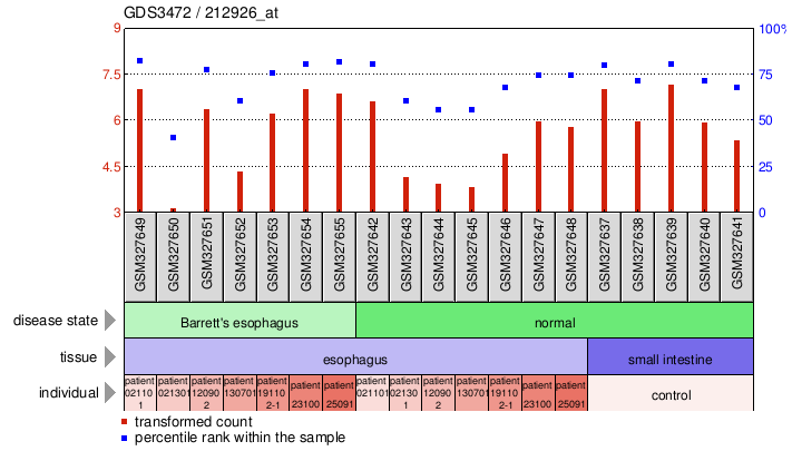 Gene Expression Profile