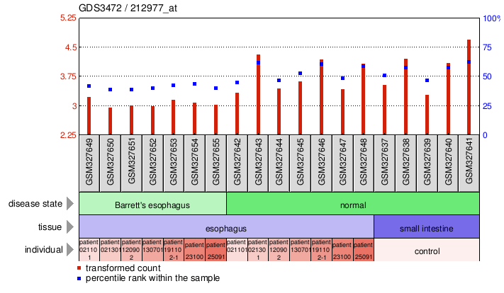 Gene Expression Profile