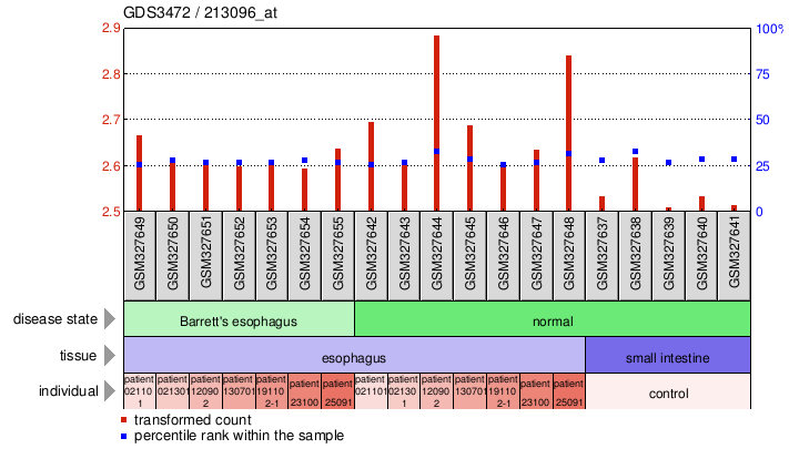 Gene Expression Profile