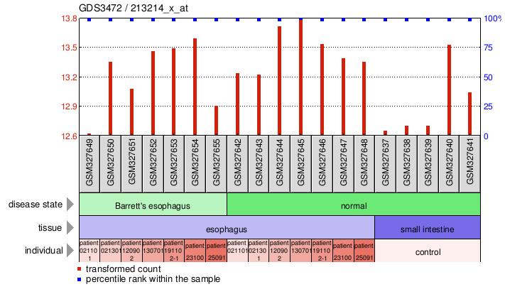 Gene Expression Profile