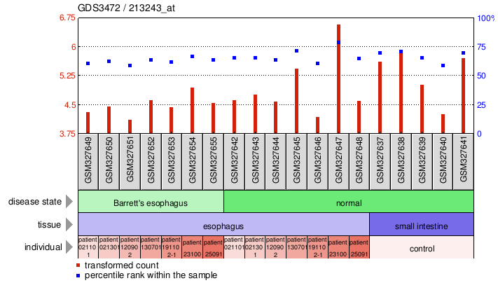 Gene Expression Profile