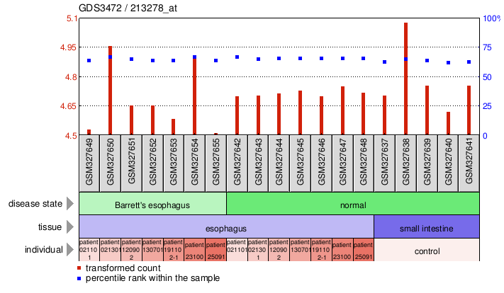 Gene Expression Profile