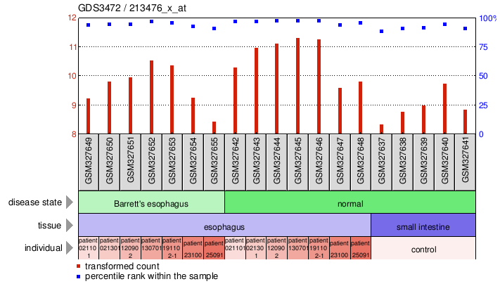 Gene Expression Profile