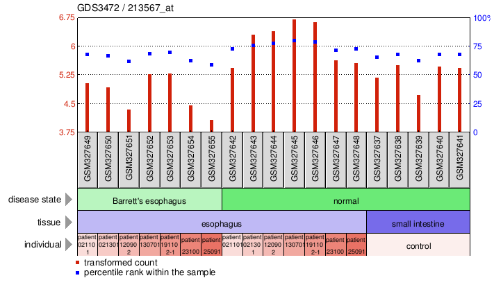 Gene Expression Profile