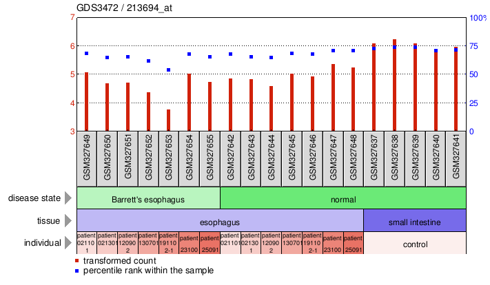 Gene Expression Profile