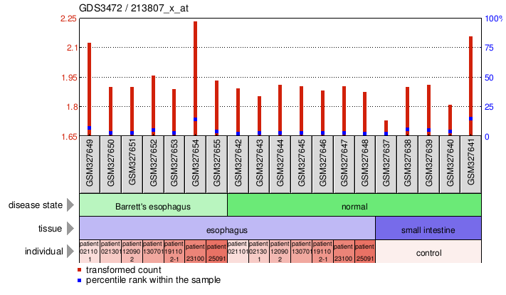 Gene Expression Profile