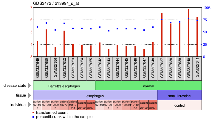 Gene Expression Profile