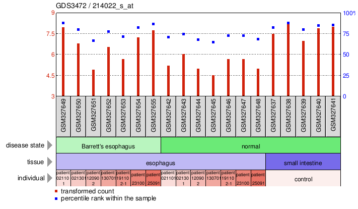 Gene Expression Profile