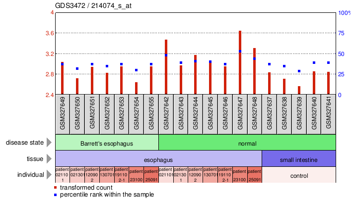 Gene Expression Profile