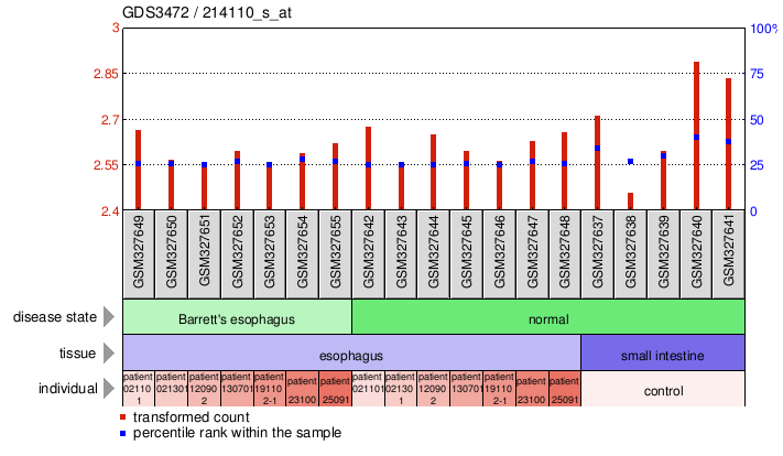 Gene Expression Profile