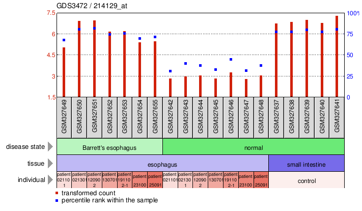 Gene Expression Profile