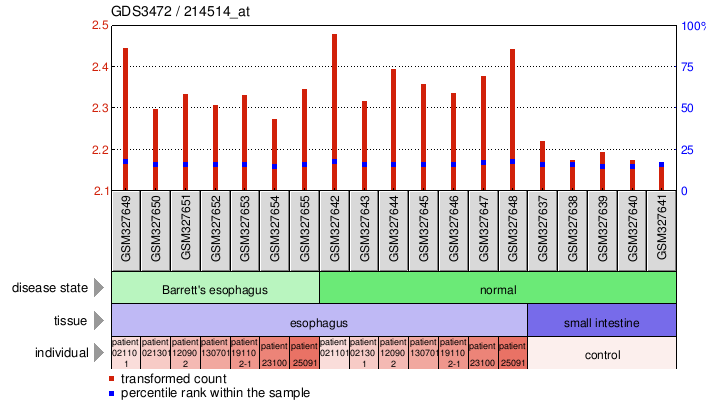 Gene Expression Profile