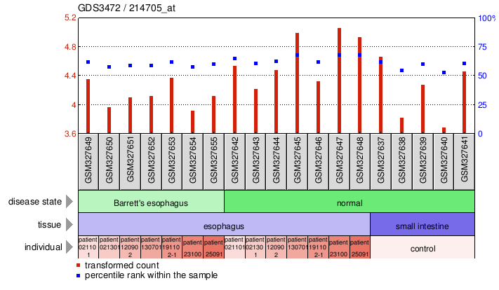 Gene Expression Profile