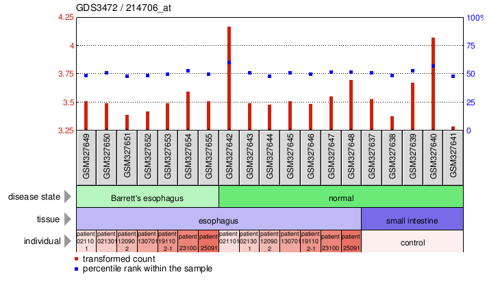 Gene Expression Profile