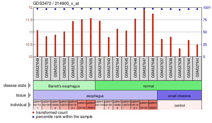 Gene Expression Profile