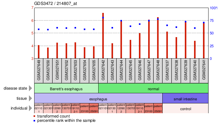 Gene Expression Profile