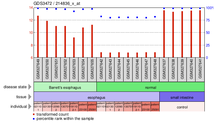 Gene Expression Profile