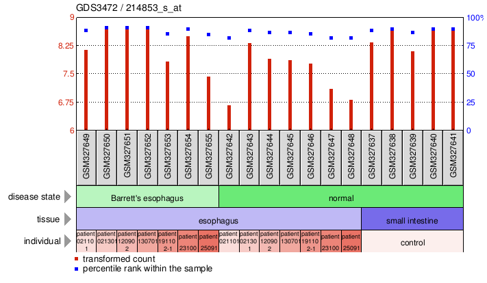 Gene Expression Profile