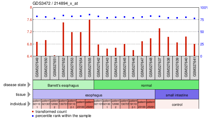 Gene Expression Profile