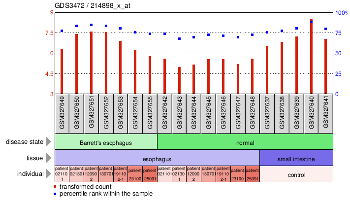 Gene Expression Profile