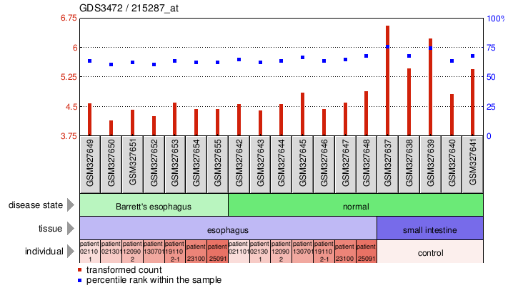 Gene Expression Profile