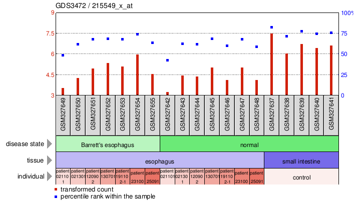 Gene Expression Profile