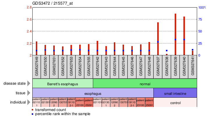 Gene Expression Profile