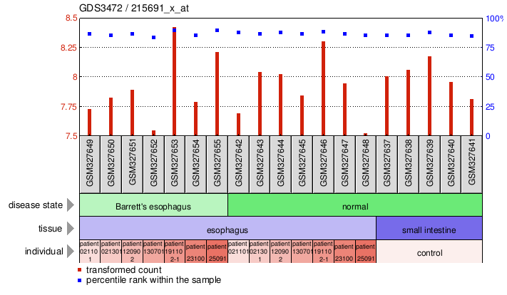 Gene Expression Profile