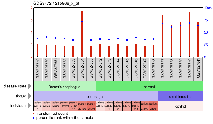 Gene Expression Profile