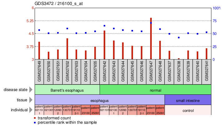 Gene Expression Profile