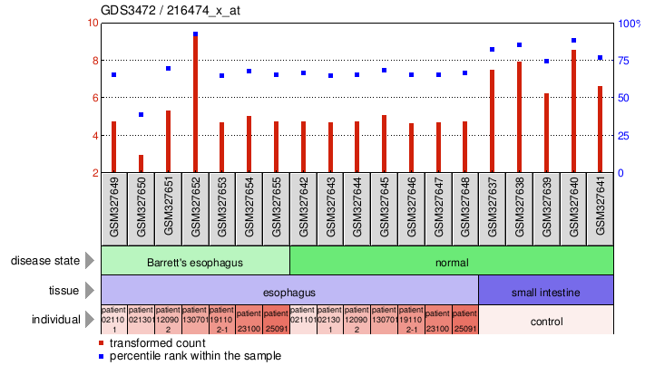 Gene Expression Profile