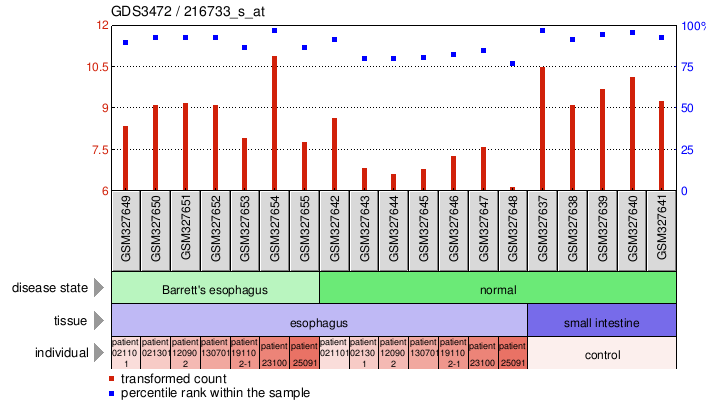 Gene Expression Profile