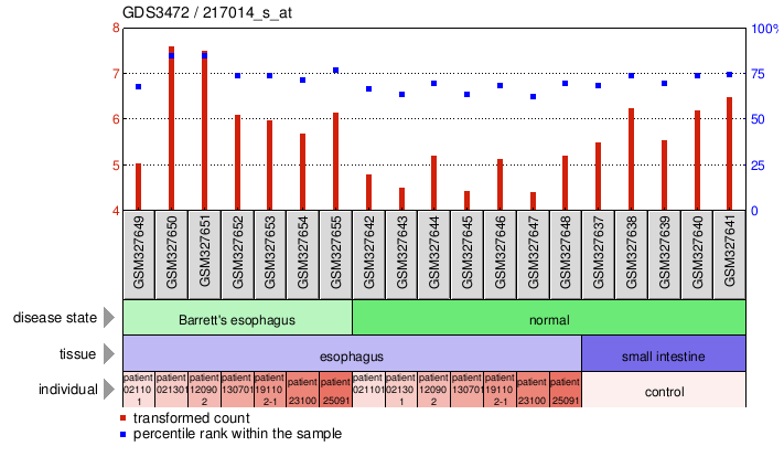 Gene Expression Profile