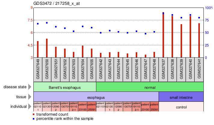 Gene Expression Profile