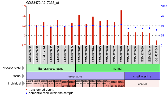 Gene Expression Profile